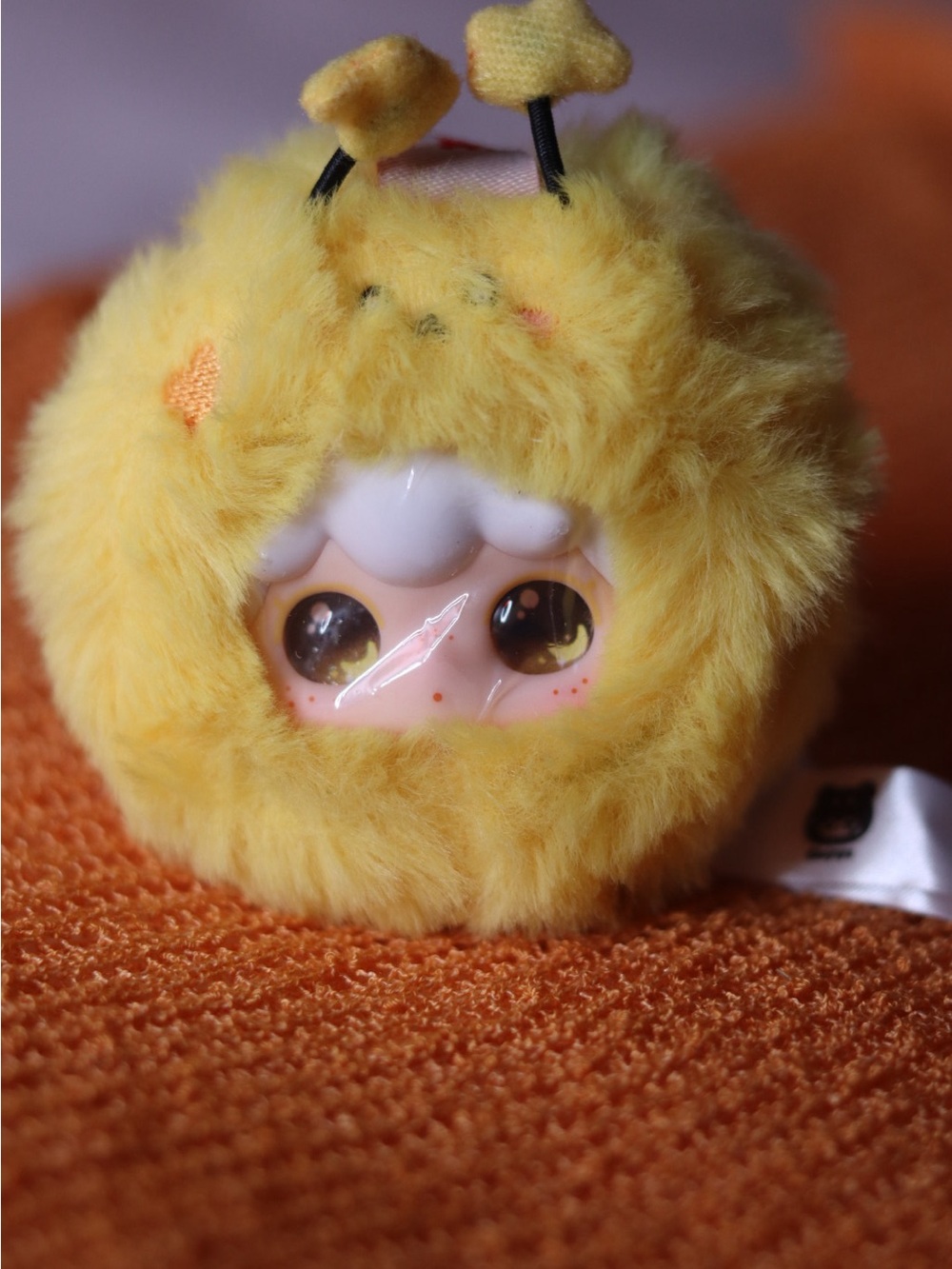 KIMIPAPA - Picture 5 of 8